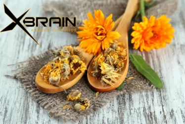 Calendula for Healing 2519 jpg