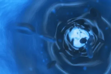 shutterstock 114377263 1 jpg